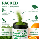 Spoonful of Nautical Elements Organic Barley Grass Juice Powder on a wooden table