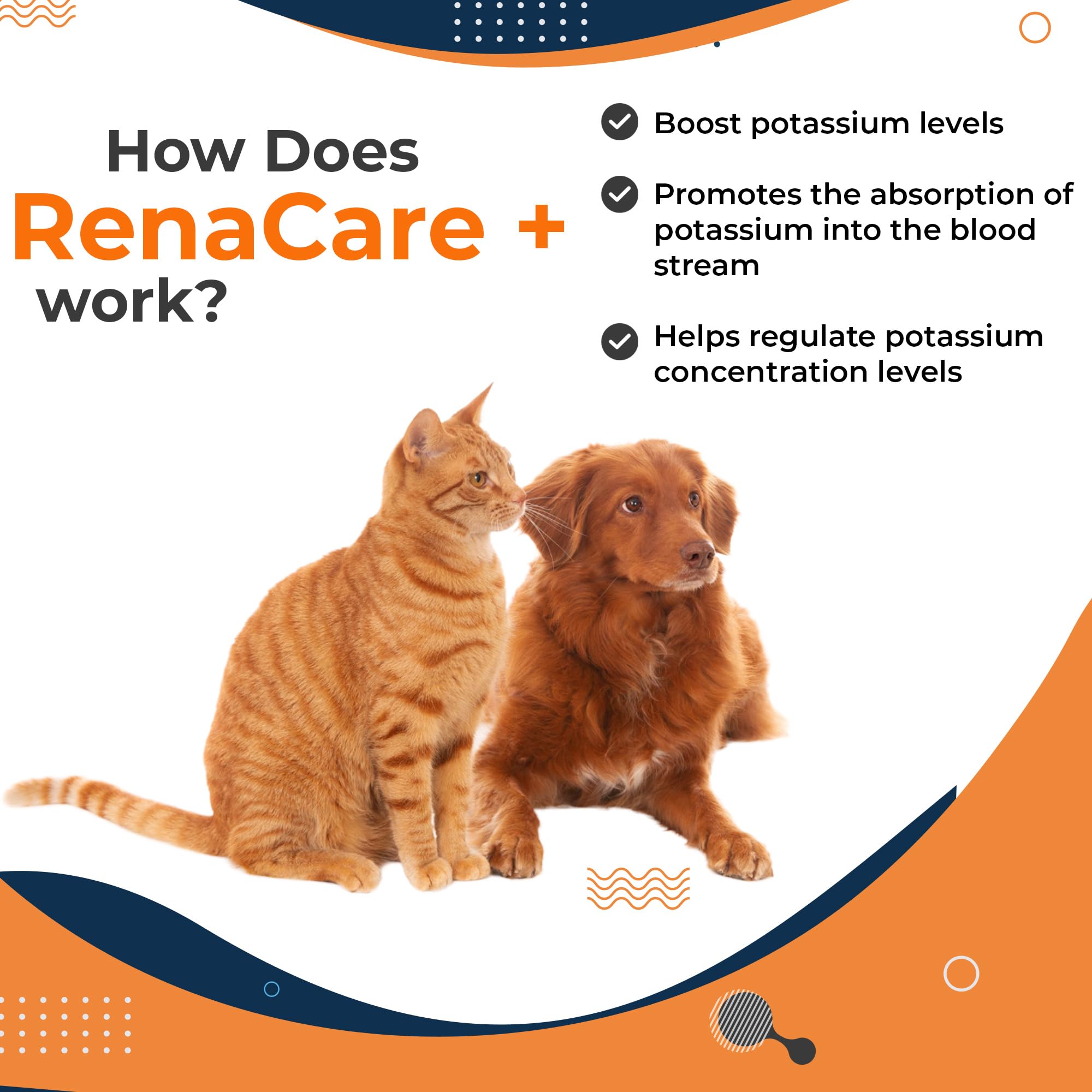 Spoonful of Renacare K chicken-flavoured powder