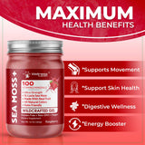 Spoonful of WELLNESS LABSRX Irish Sea Moss Gel 454g