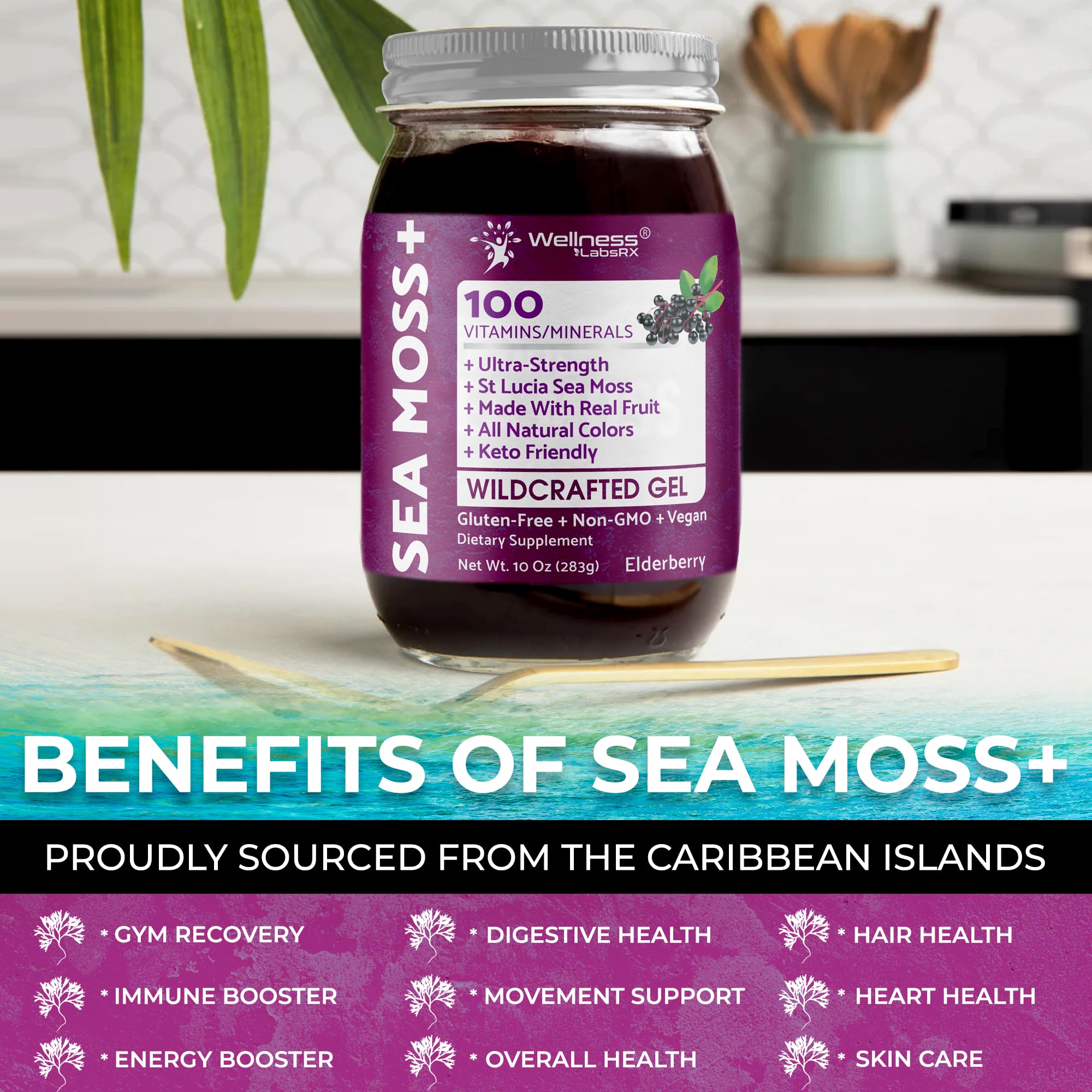 Spoonful of WELLNESS LABSRX Irish Sea Moss Gel