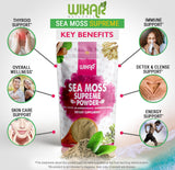 Spoonful of WIXAR NATURALS Sea Moss Powder on a wooden table