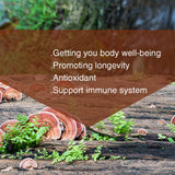 Spoonful of Yuanziyuanfang Reishi Mushroom Spore Powder