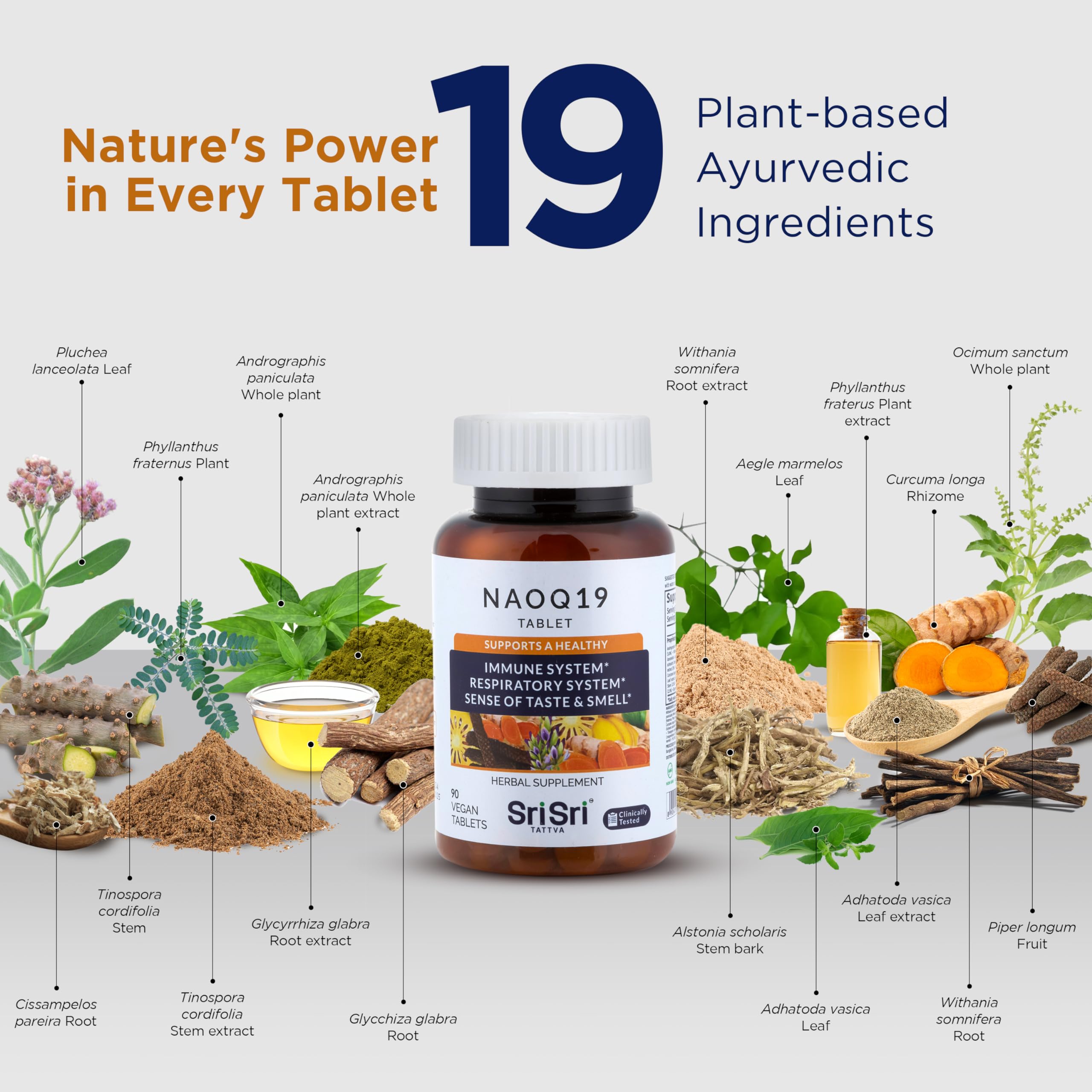 SRI SRI TATTVA NAOQ19 Licorice Root Supplement capsule close-up