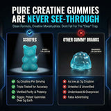 Ssddyes Creatine Gummies in a travel bag