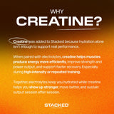 STACKED FITNESS HYDRATION Electrolyte and Creatine Packets on a gym bench