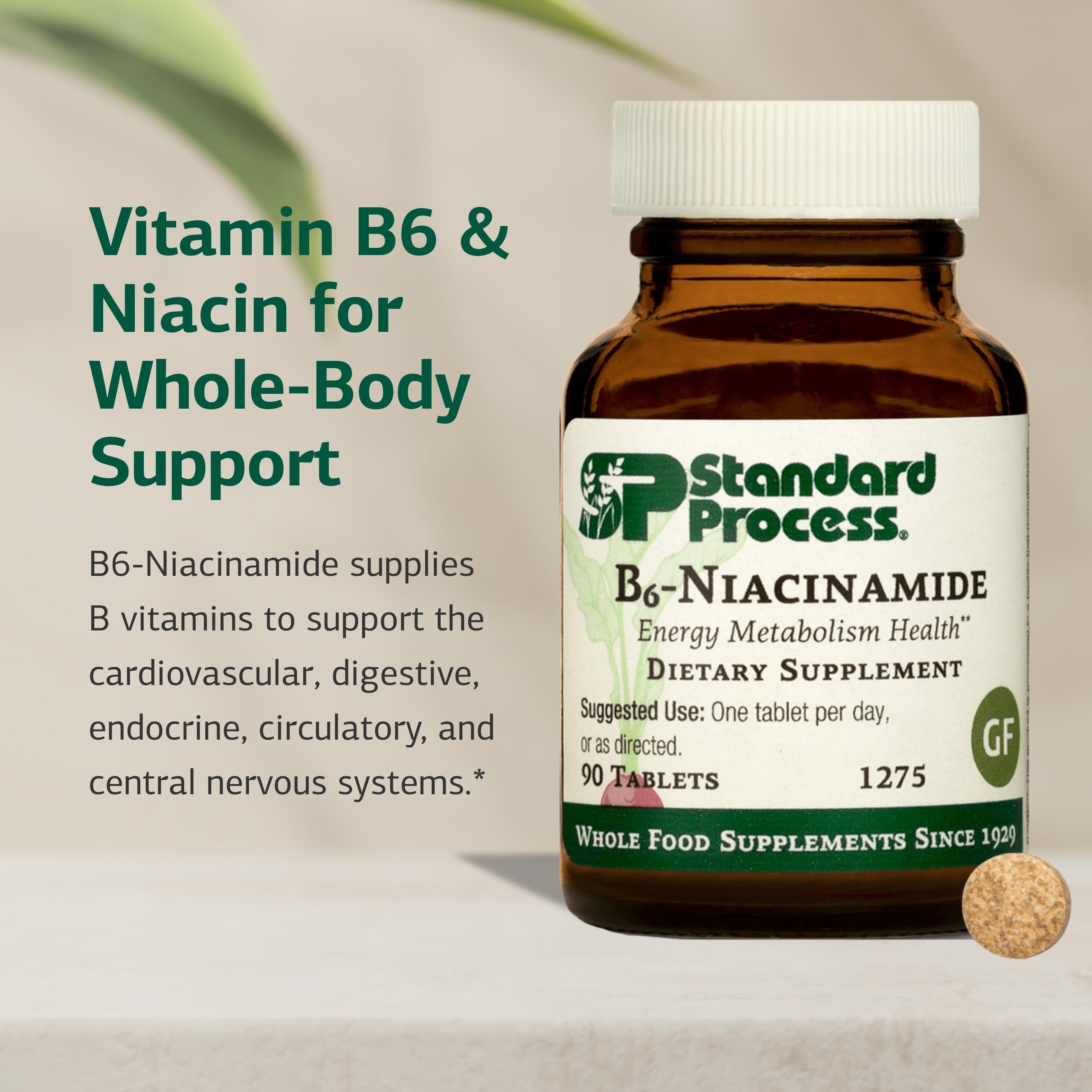 Standard Process B6-Niacinamide Supplement back view with ingredient list
