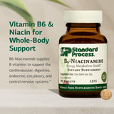 Standard Process B6-Niacinamide Supplement back view with ingredient list