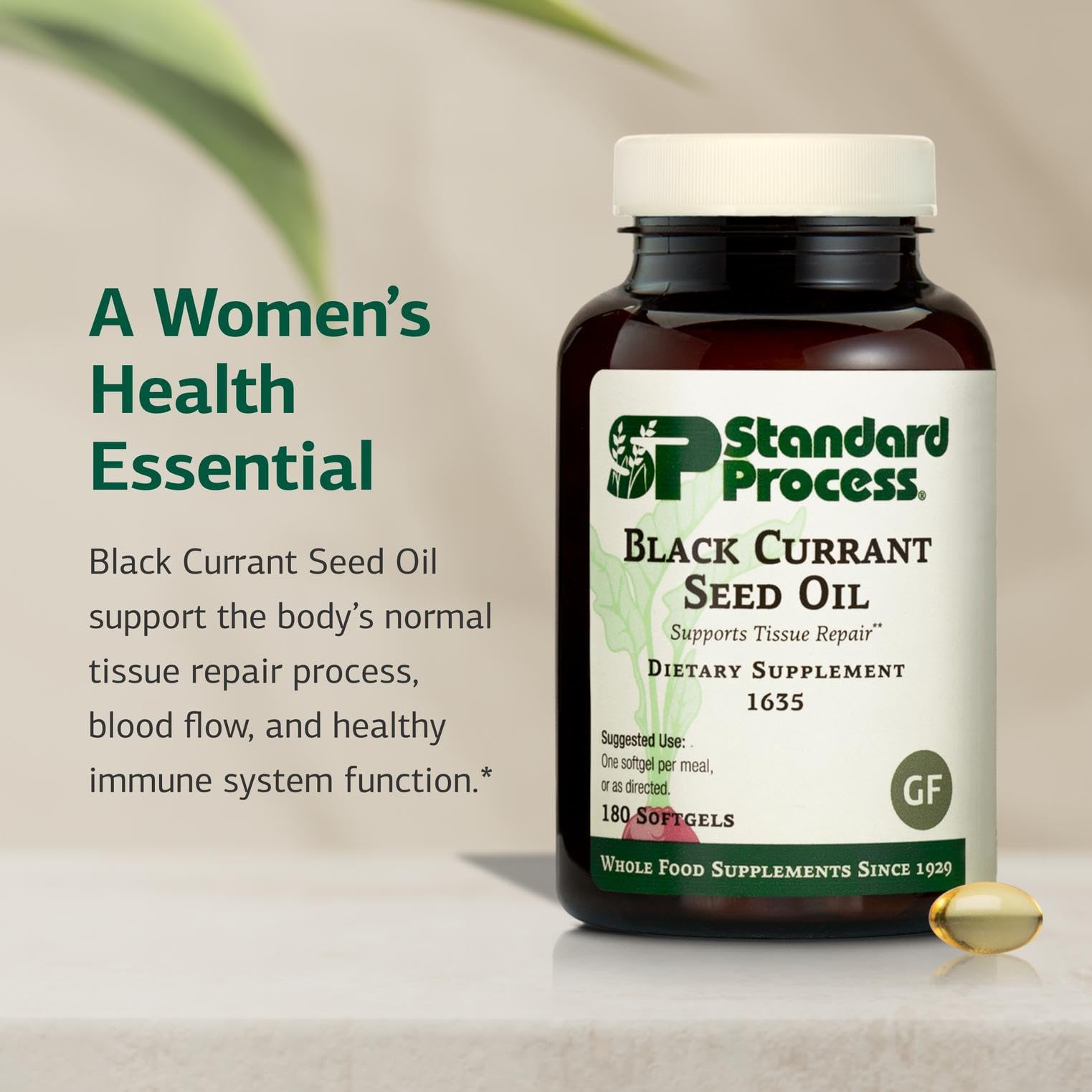 Standard Process Black Currant Oil 320mg softgel side view