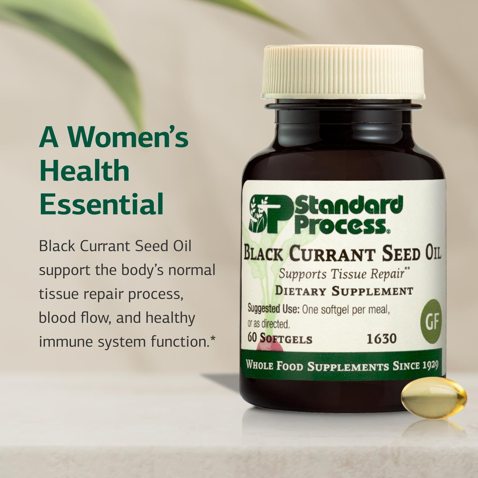 Standard Process Black Currant Oil 320mg softgels back label