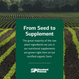 Standard Process Black Currant Oil 320mg softgels displayed with other supplements