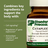 Standard Process Cataplex E Vitamin E Supplement tablets