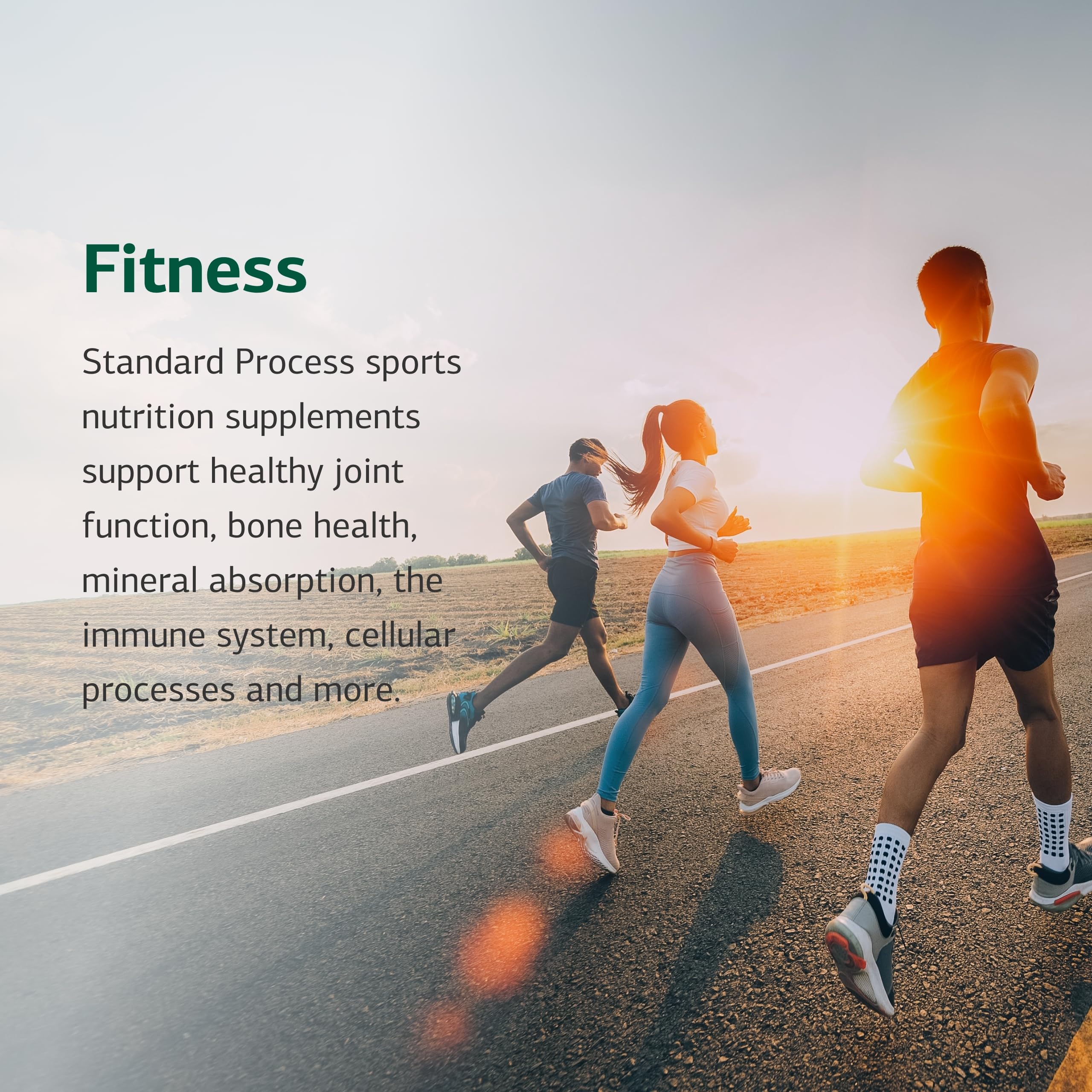 Standard Process Cataplex E2 Selenium Supplement on a wooden table