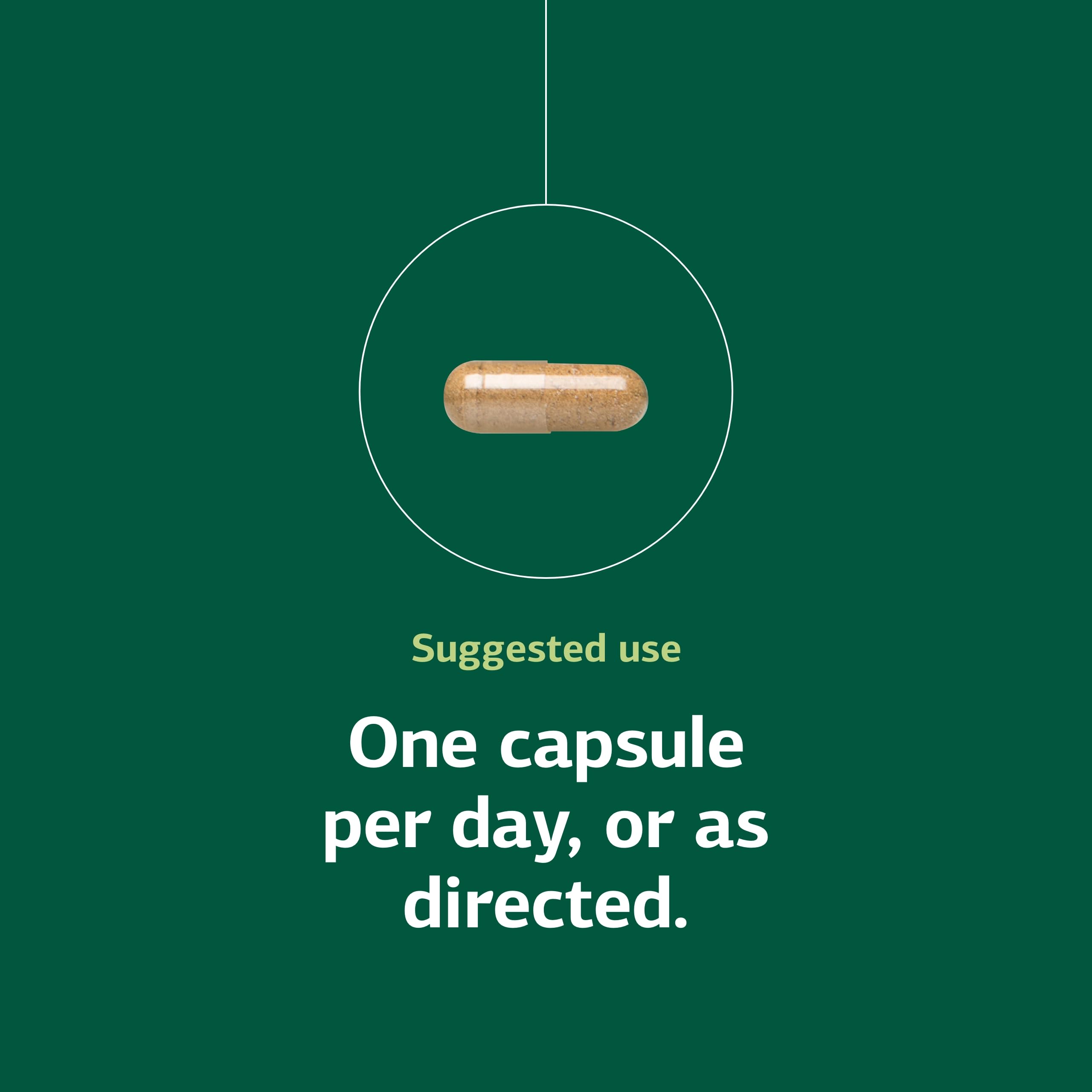 Standard Process Inc. B-Complex Supplement capsule close-up