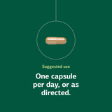 Standard Process Inc. B-Complex Supplement capsule close-up