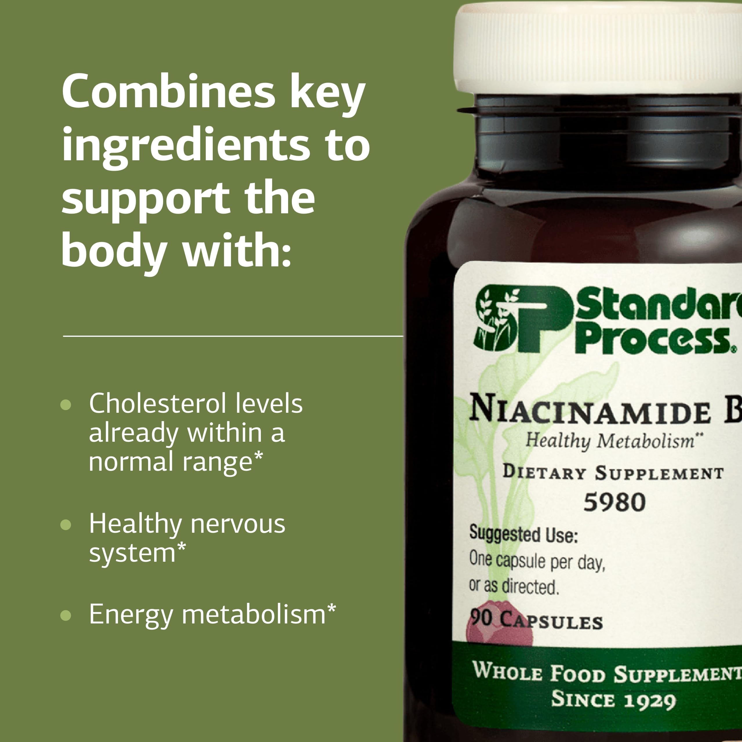 Standard Process Inc. B-Complex Supplement ingredients list