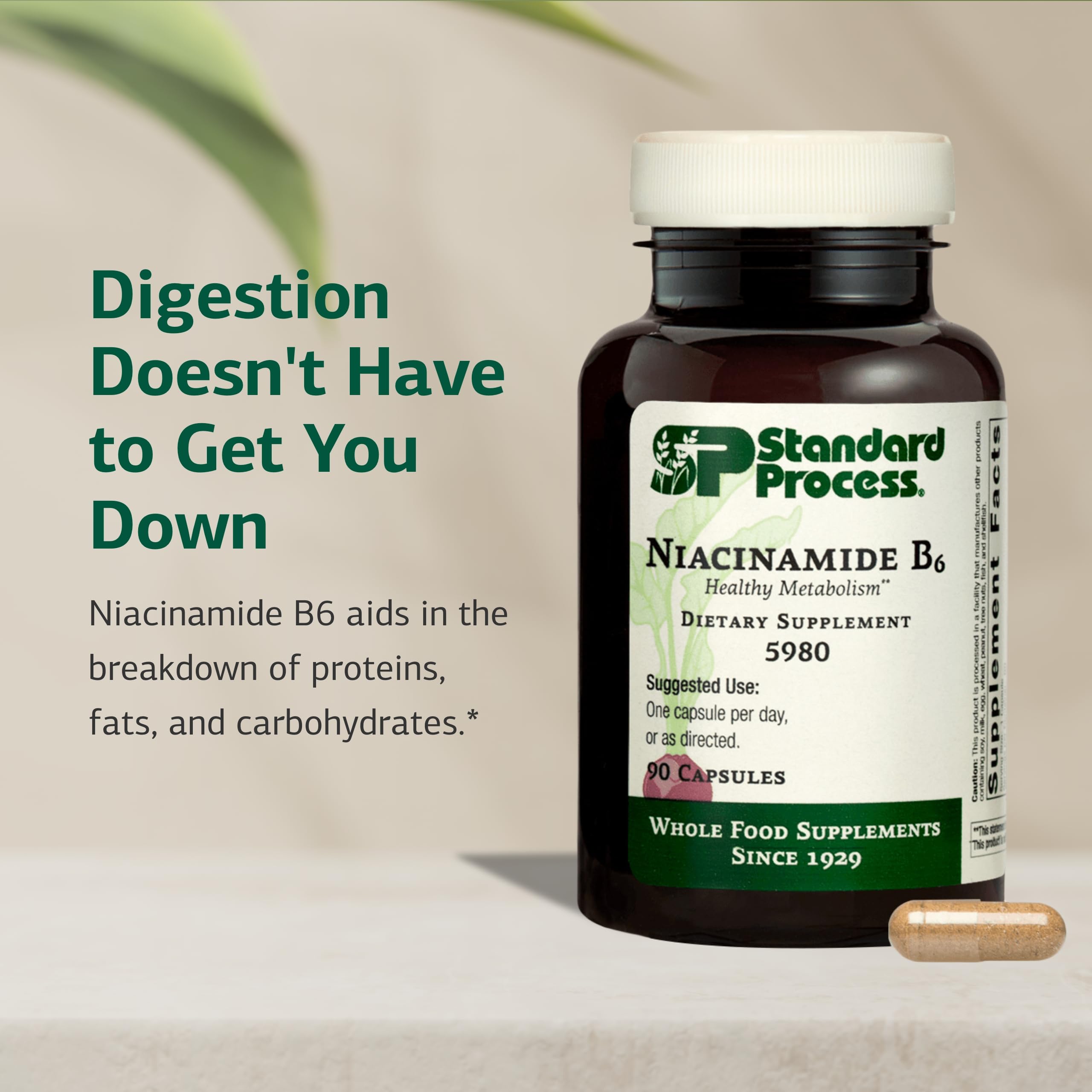 Standard Process Inc. B-Complex Supplement packaging