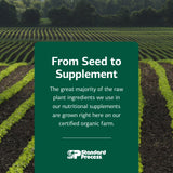 Standard Process Inc. B-Complex Supplement with lifestyle background