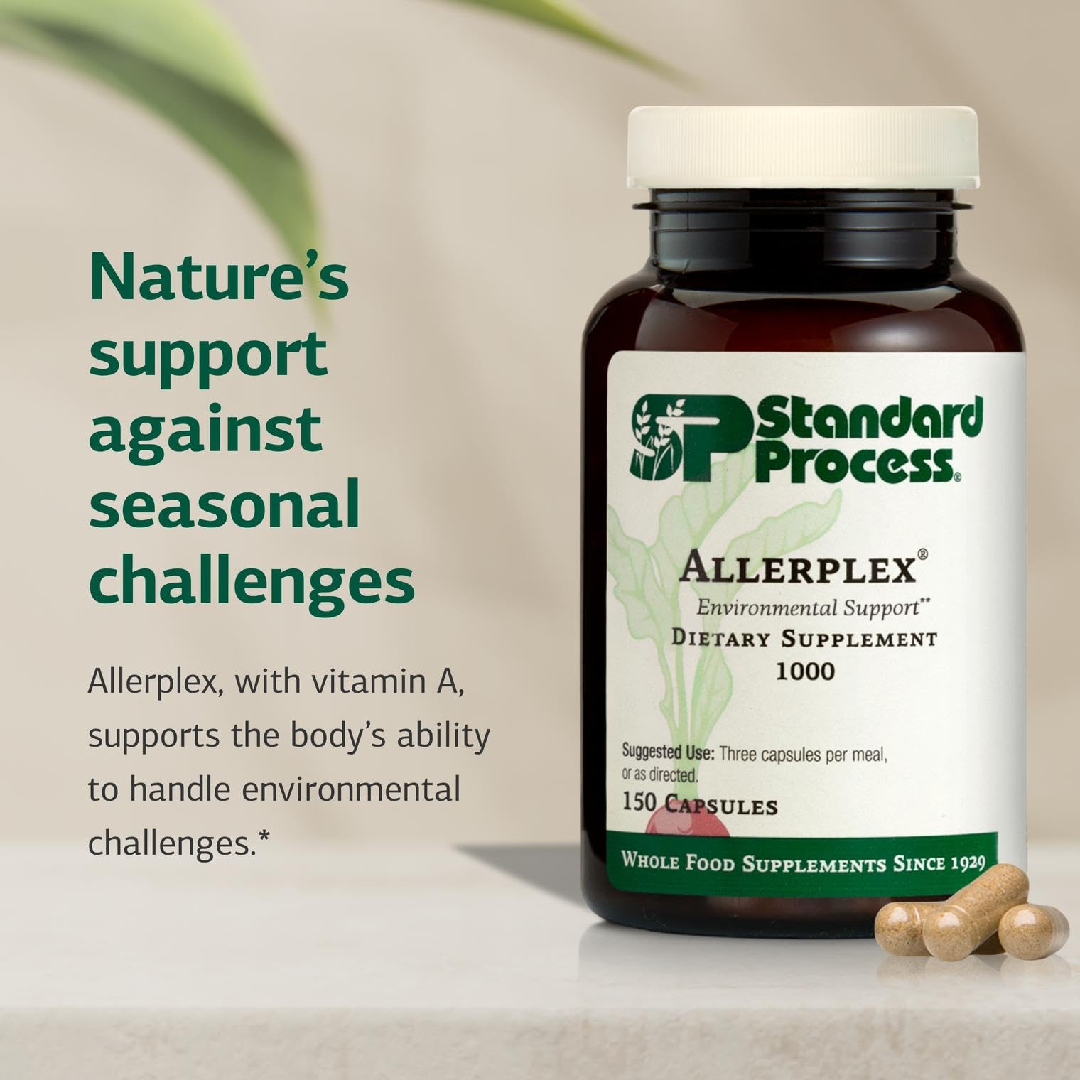 Standard Process Inc. Blended Vitamin & Mineral Supplement capsules
