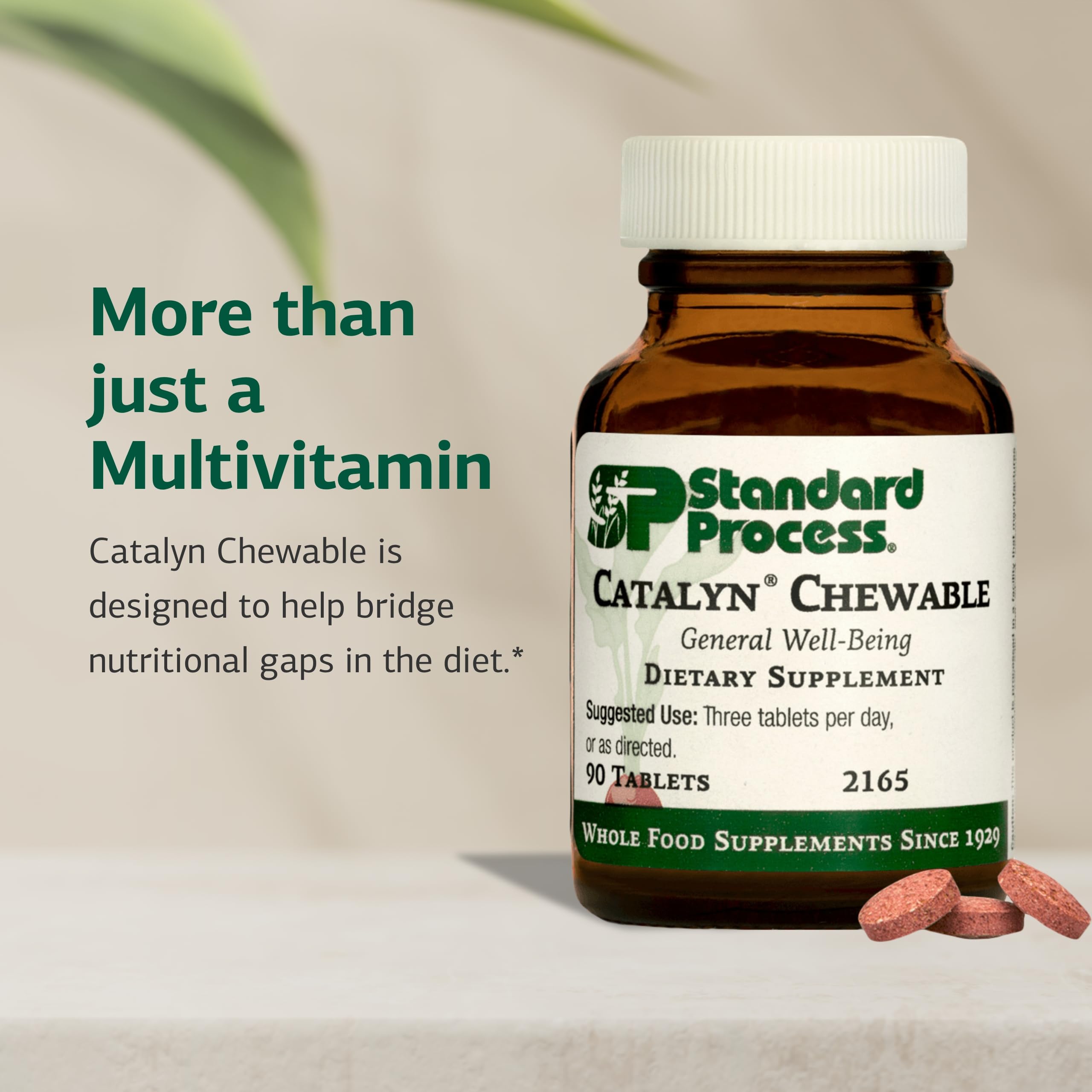 Standard Process Inc. Catalyn Chewable Multivitamin chewable tablet close-up