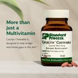 Standard Process Inc. Catalyn Chewable Multivitamin chewable tablet close-up