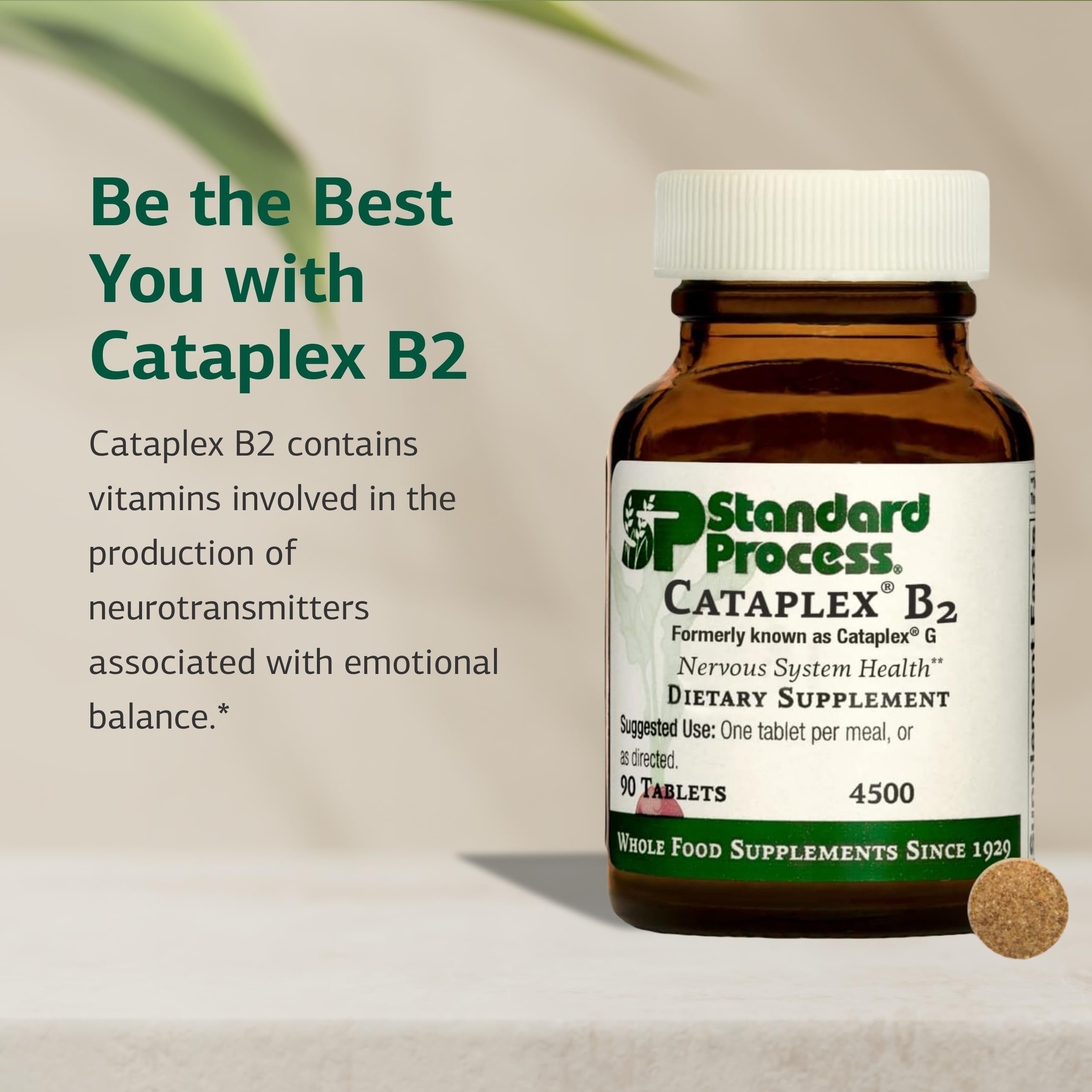 Standard Process Inc. Cataplex B2 Vitamin C Supplement packaging