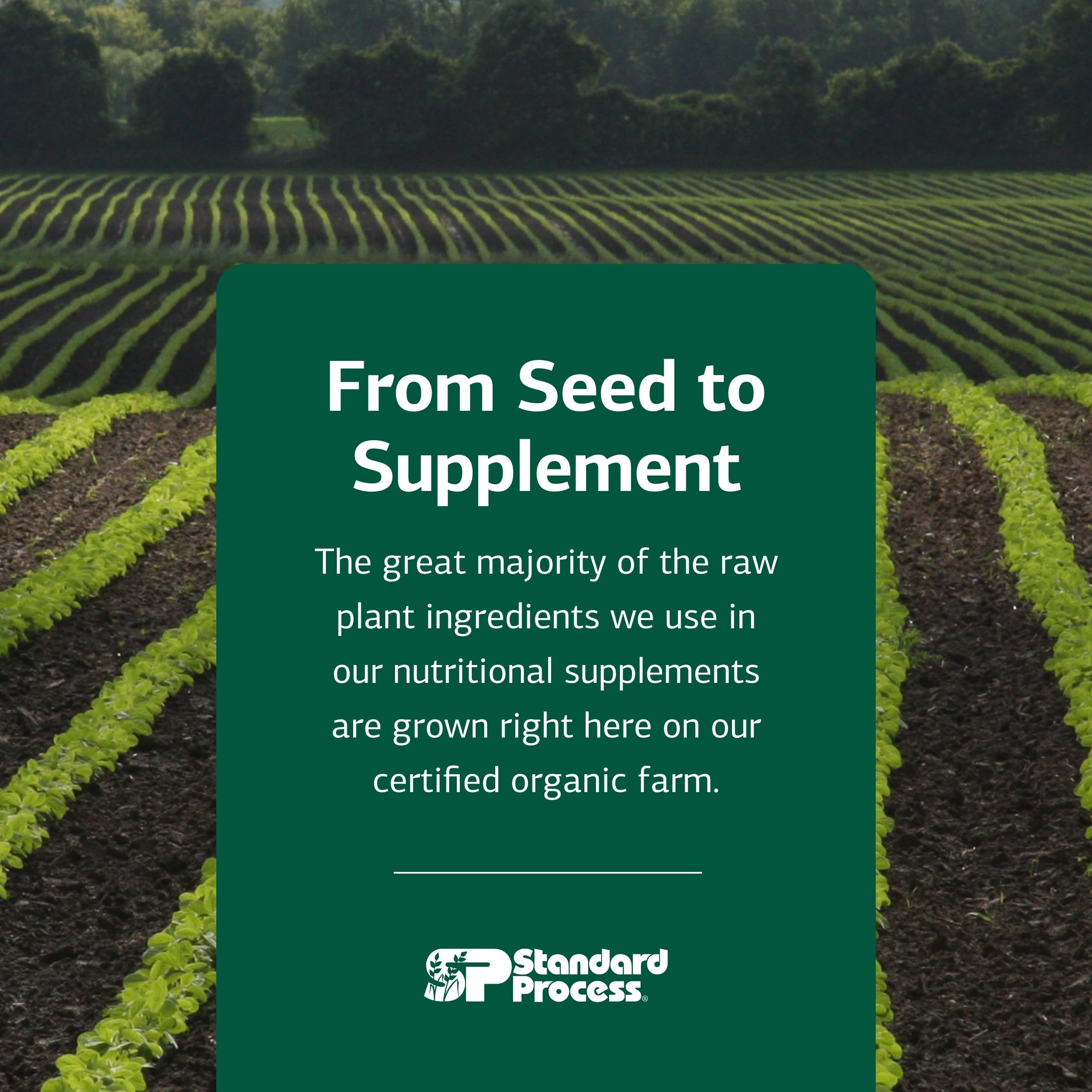 Standard Process Inc. Cataplex B2 Vitamin C Supplement with a glass of water