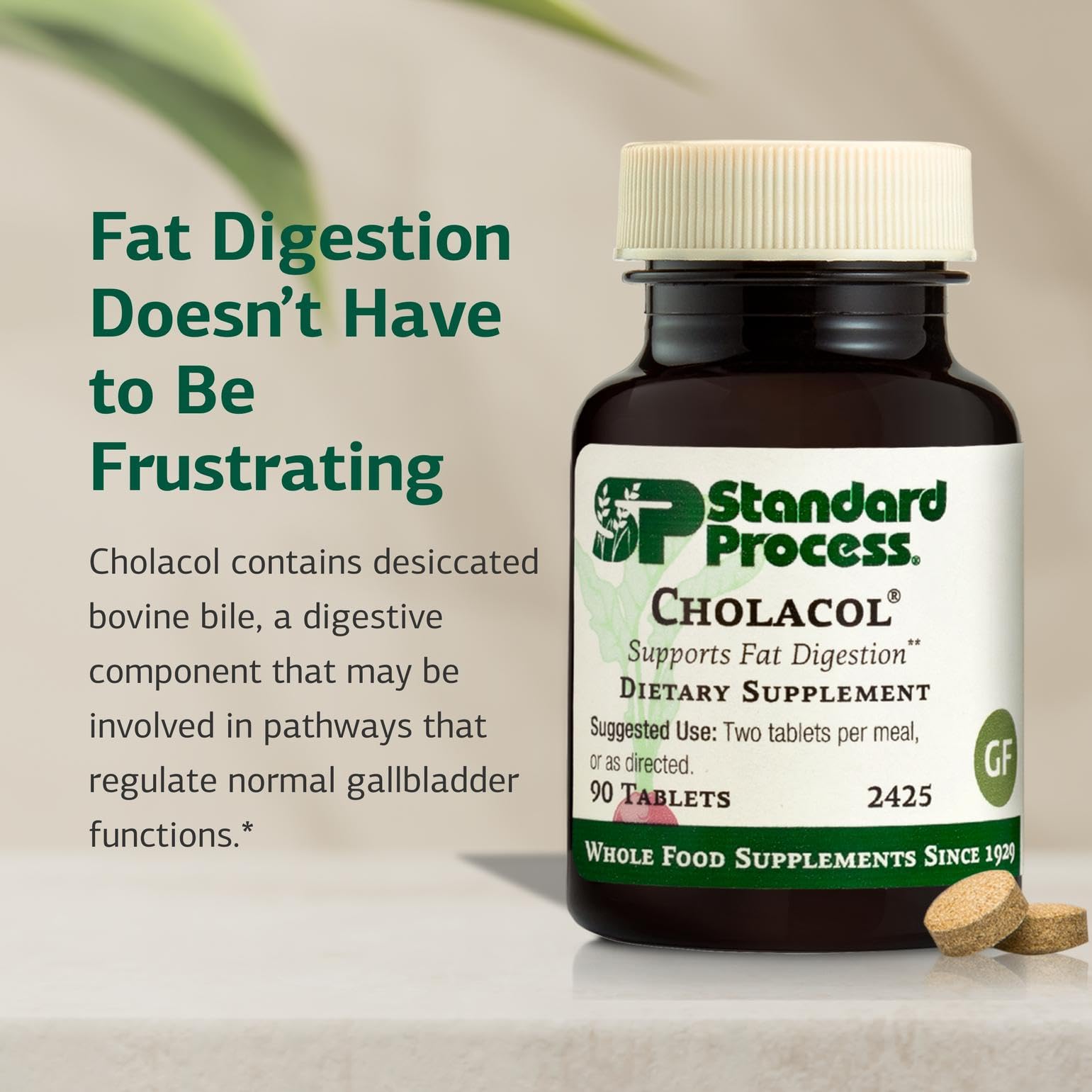 Standard Process Inc. Gallbladder Support Supplement tablets close-up