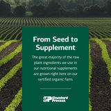 Standard Process Inc. Gallbladder Support Supplement with a measuring spoon