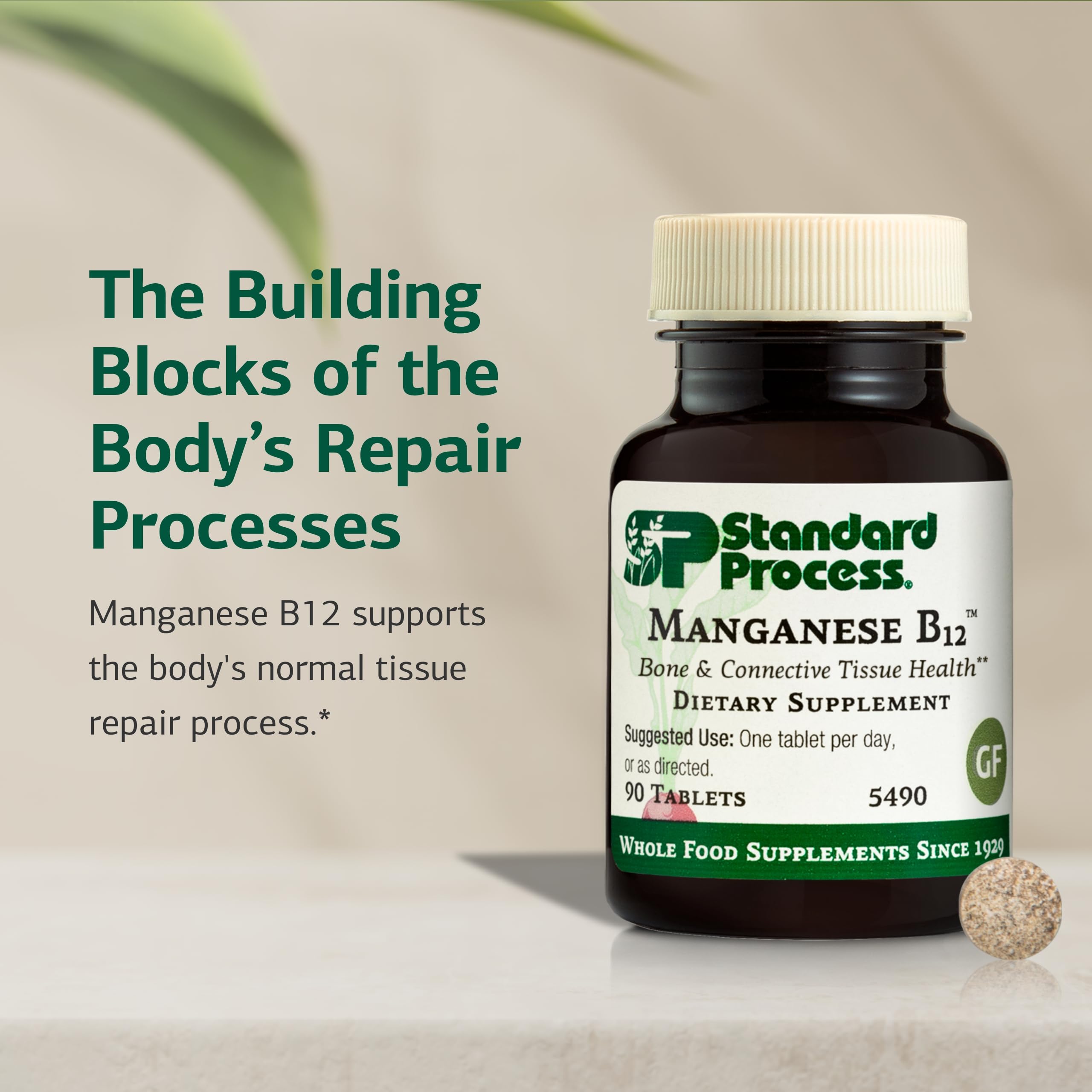 Standard Process Inc. Manganese B12 Supplement capsule close-up
