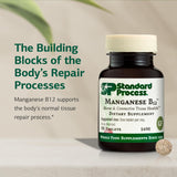 Standard Process Inc. Manganese B12 Supplement capsule close-up