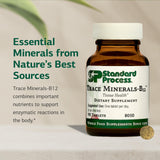 Standard Process Inc. Trace Minerals-B12 Supplement side view of softgels