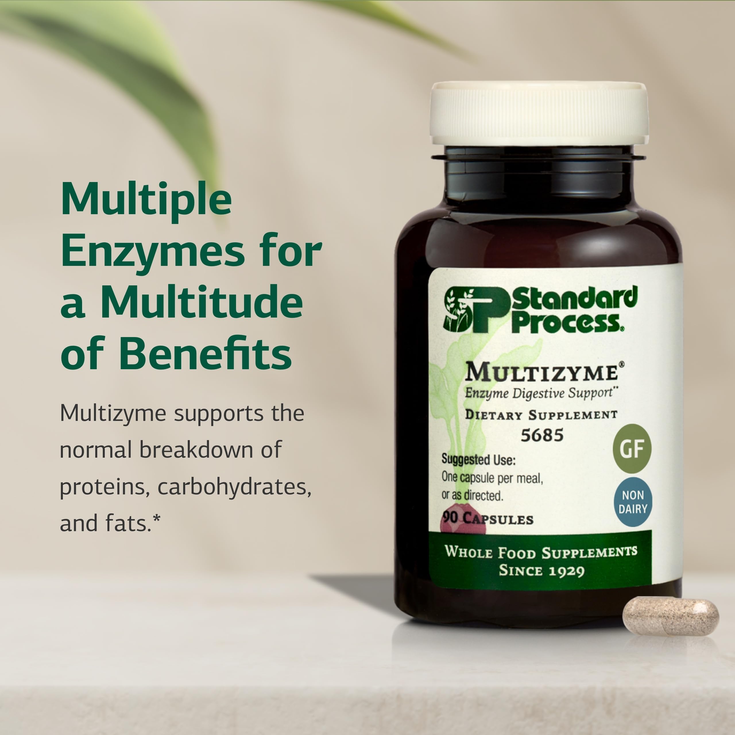 Standard Process Multizyme back view with ingredient list