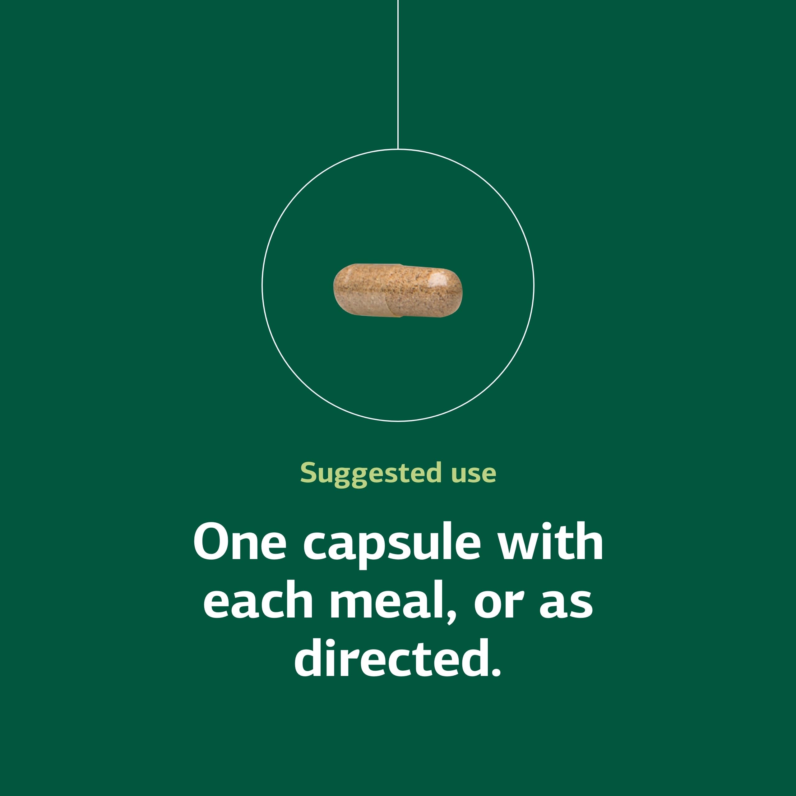 Standard Process Multizyme capsules in a clear container