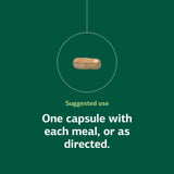 Standard Process Multizyme capsules in a clear container