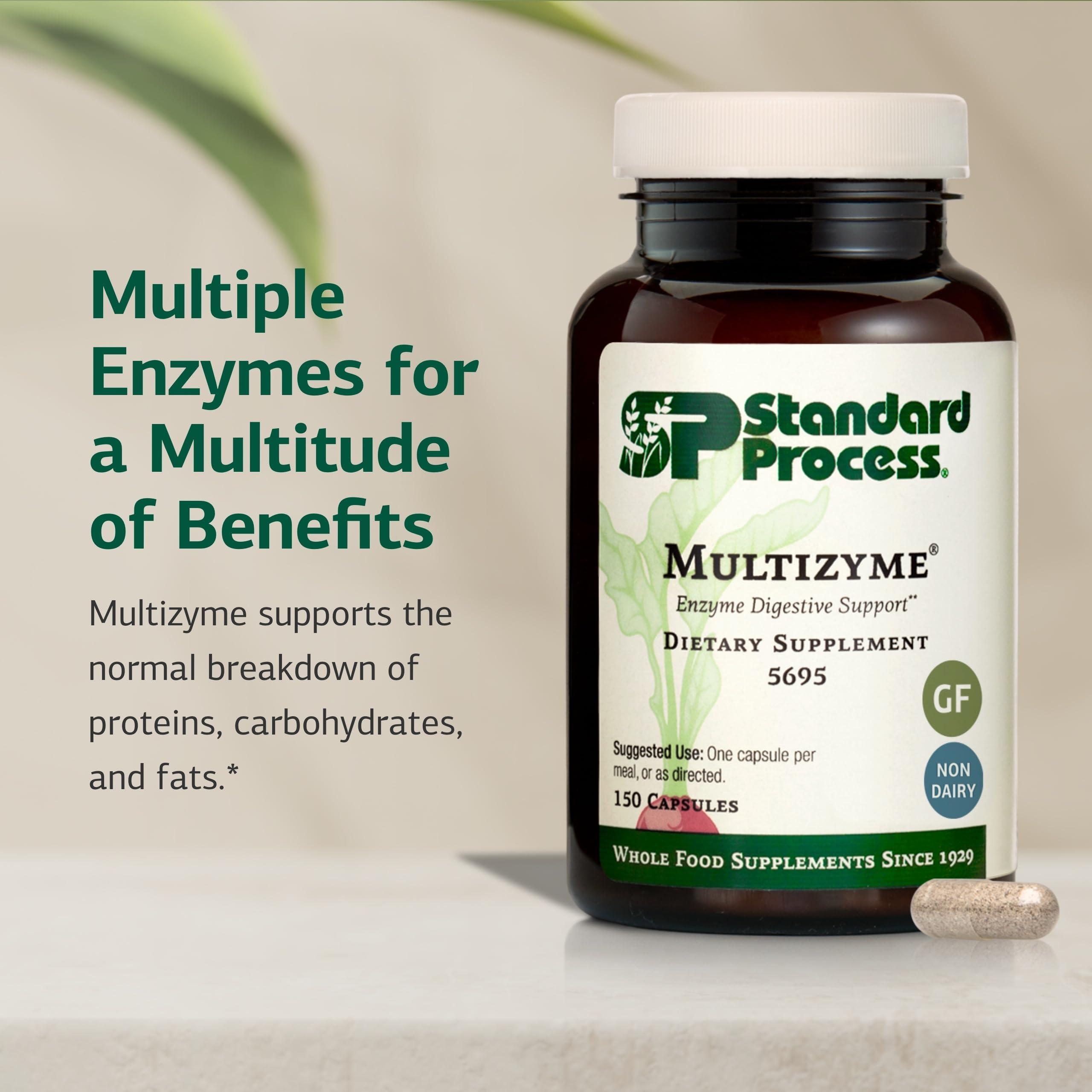 Standard Process Multizyme multi-enzyme supplement side view of packaging
