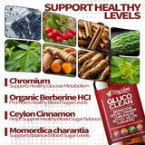 StarViora Berberine Supplement ingredients list on packaging