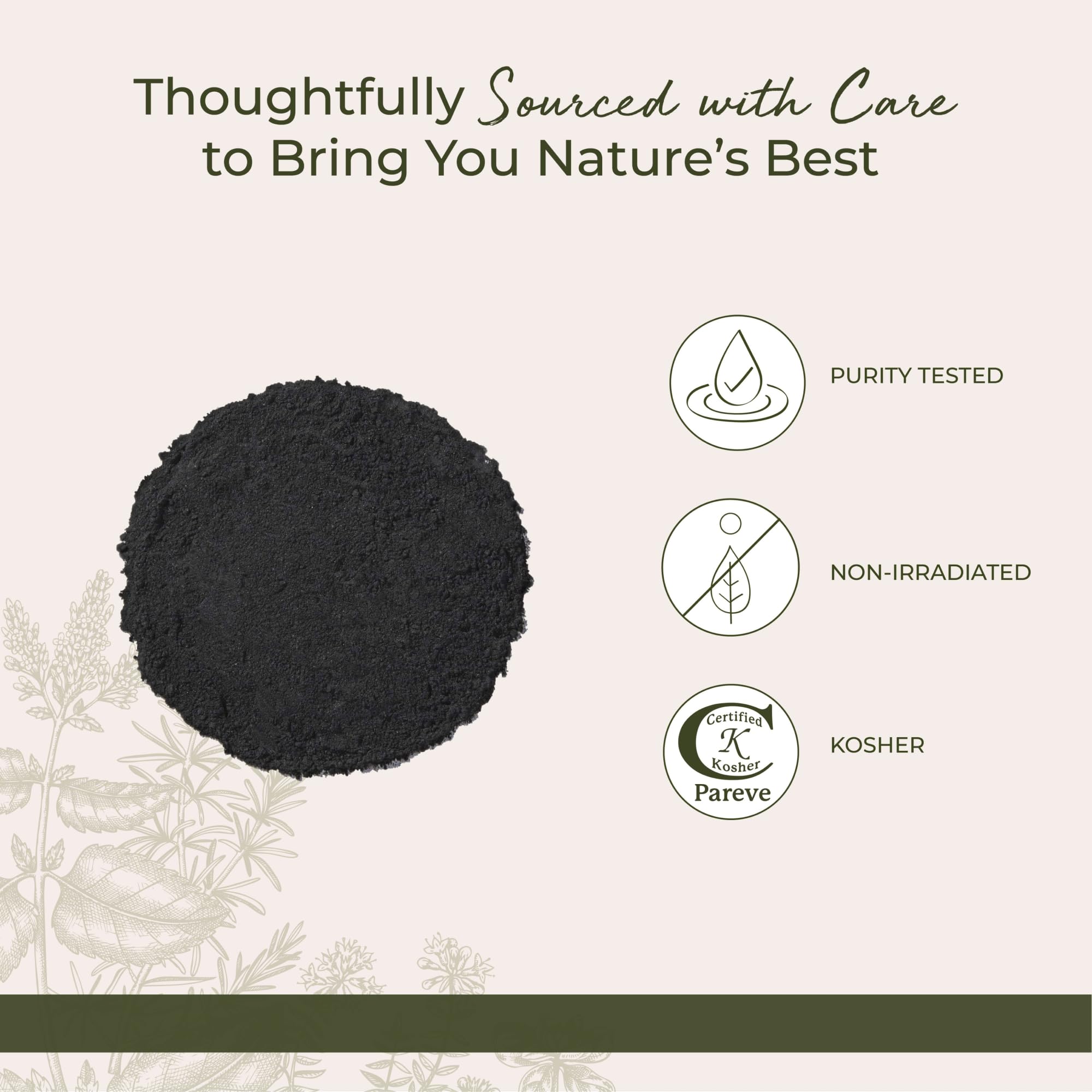 Starwest Botanicals Activated Charcoal Powder 45g close-up of powder