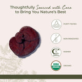 Starwest Botanicals Dried Red Reishi Mushrooms in a bowl