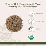Starwest Botanicals Dried Stinging Nettle Root 454g in a bowl