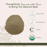 Starwest Botanicals Echinacea Purpurea powder close-up