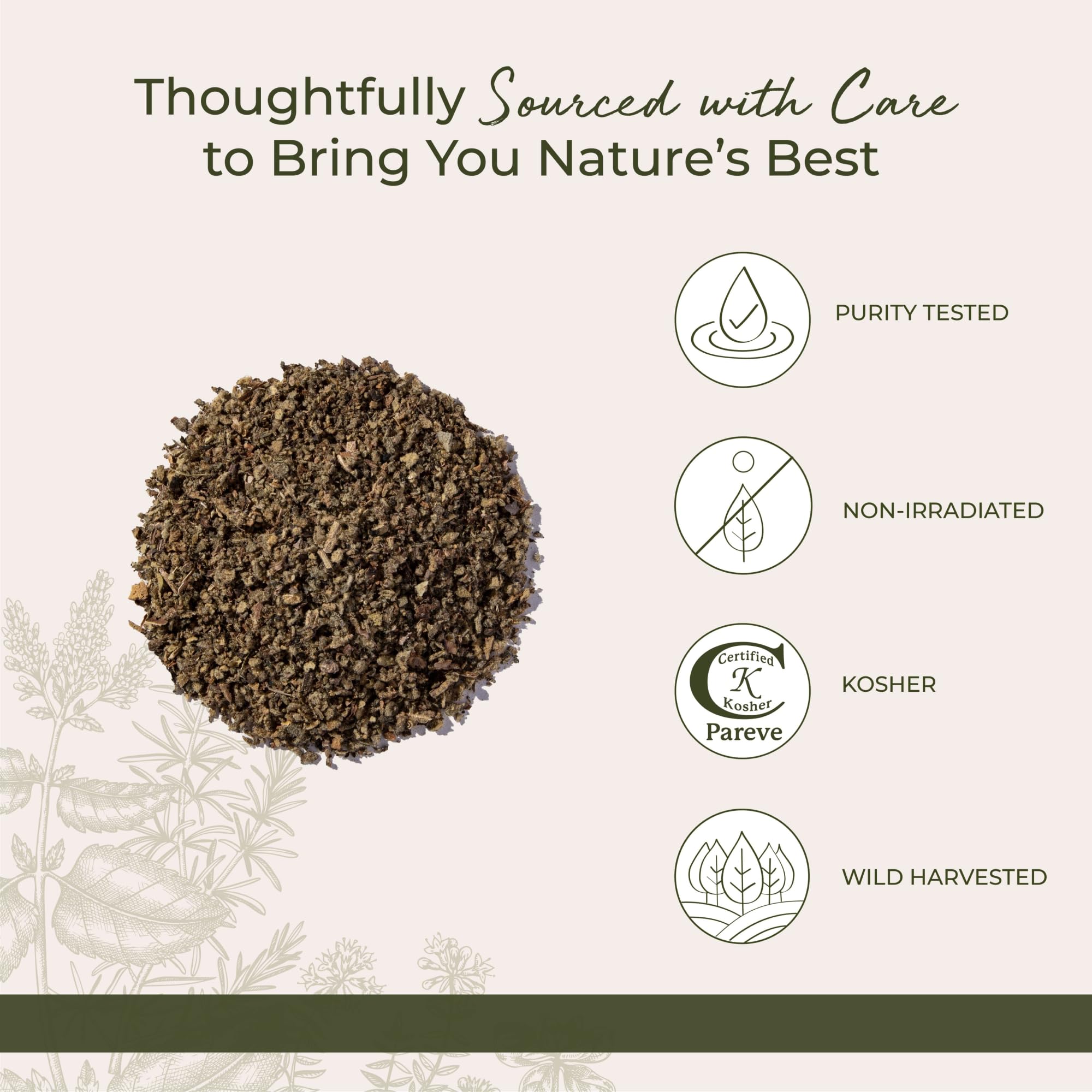 Starwest Botanicals Mullein Leaf in herbal tea preparation