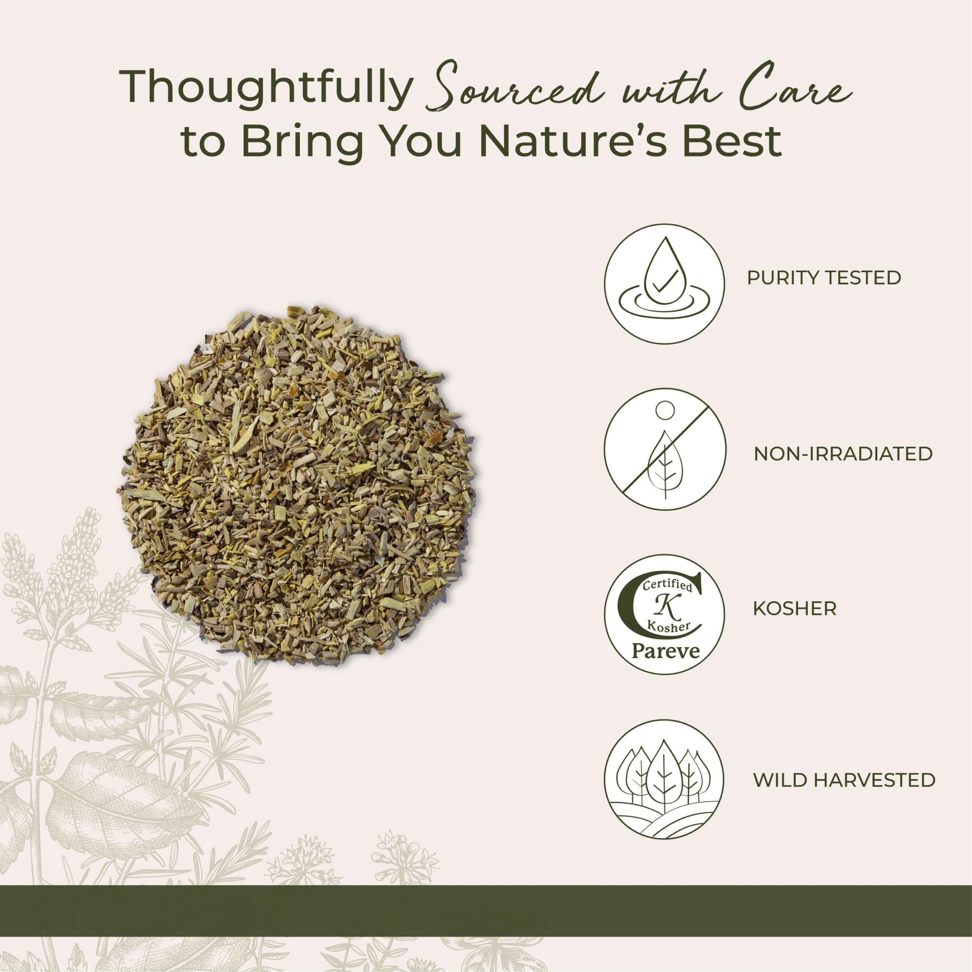 Starwest Botanicals Oregon Grape Root in a herbal tea setup