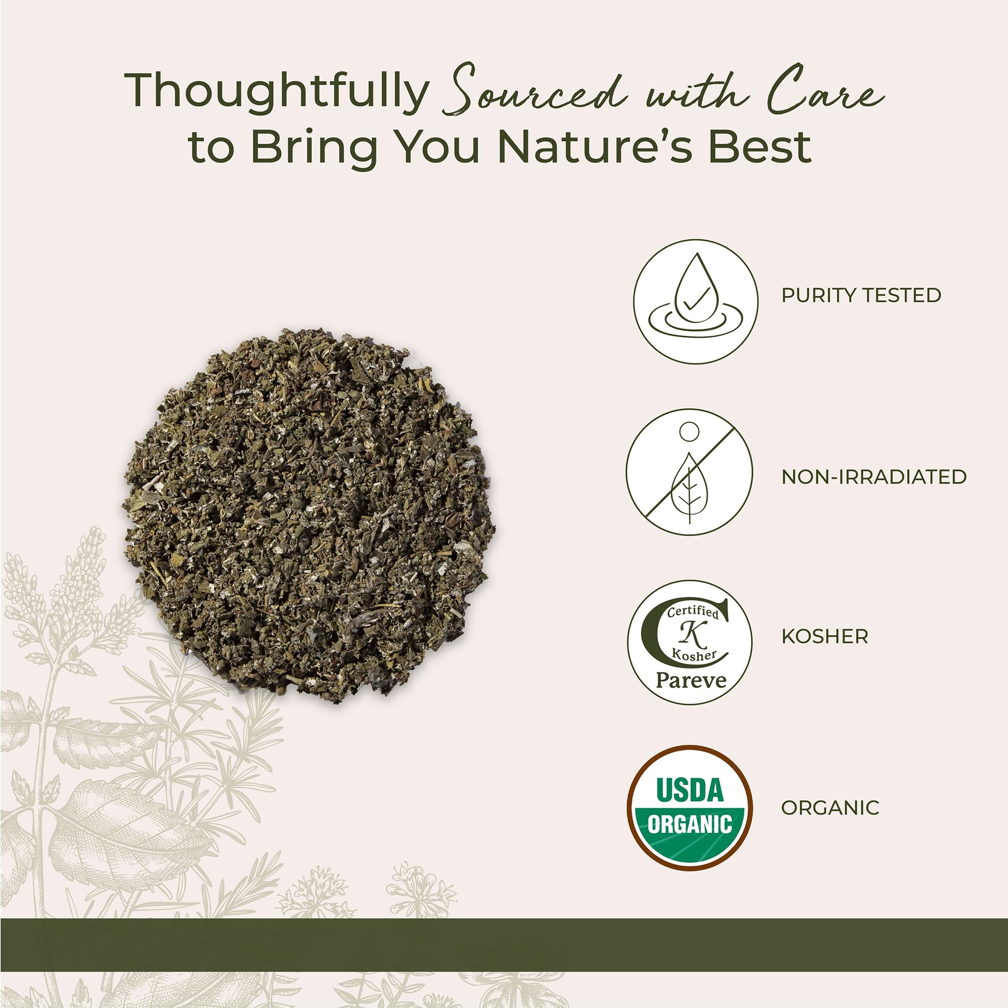 Starwest Botanicals Organic Red Raspberry Leaf Tea brewed in a cup