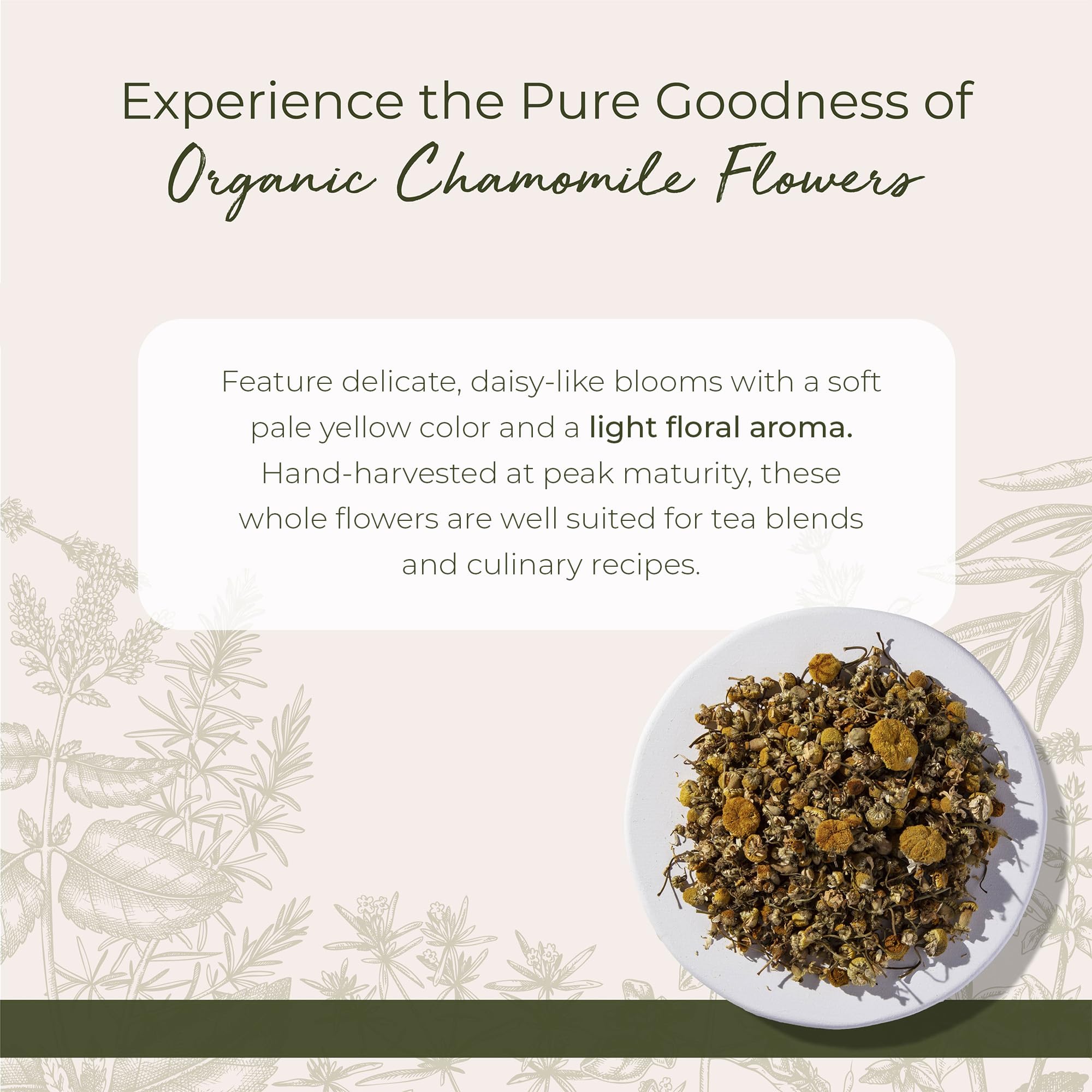 Starwest Botanicals packaging of Organic Chamomile Flowers