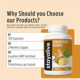 STAY ALIVE Ginger Root Capsules 1000mg back view of bottle