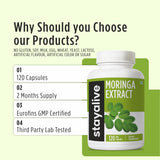 STAY ALIVE Moringa Oleifera Capsules on a wooden table