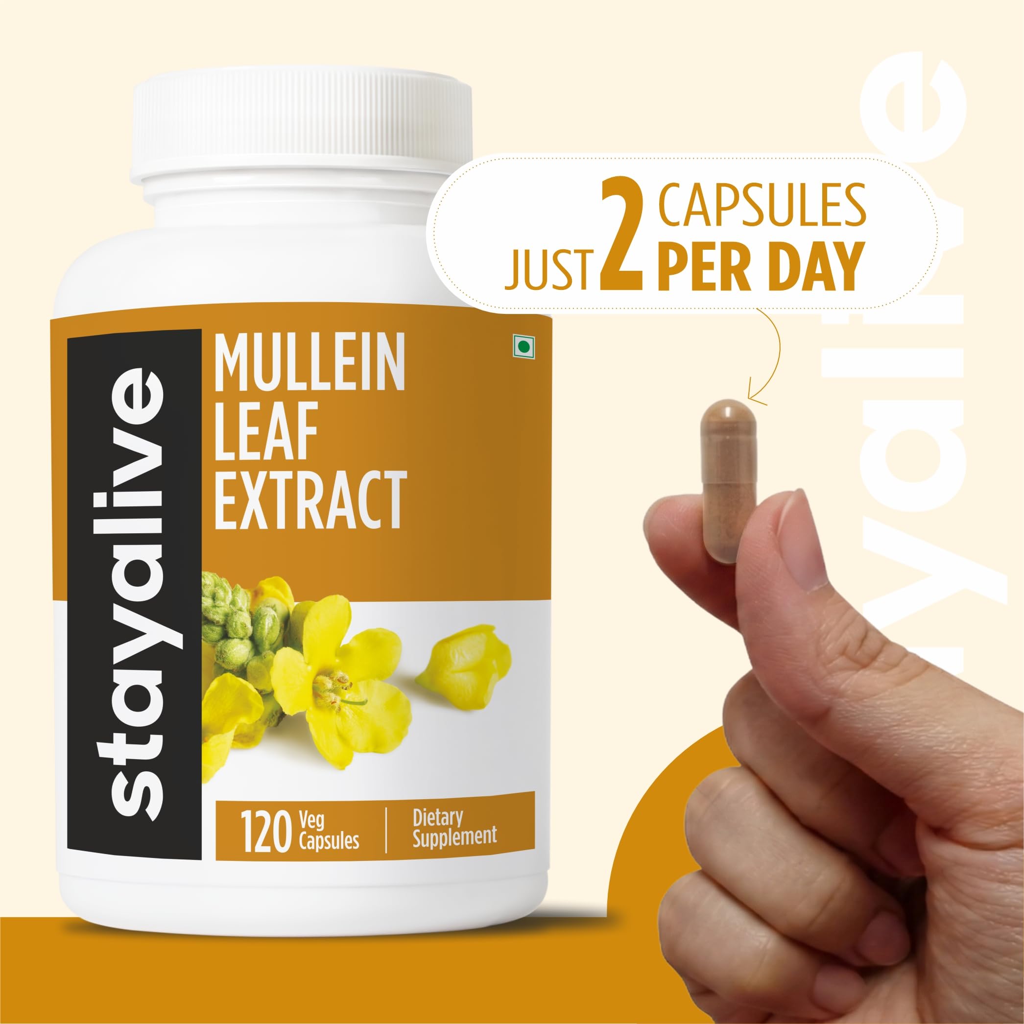 STAY ALIVE Mullein Leaf Capsules in a lifestyle setting