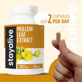 STAY ALIVE Mullein Leaf Capsules in a lifestyle setting