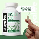 STAY ALIVE Ursolic Acid Supplement 300mg bottle with a green plant background