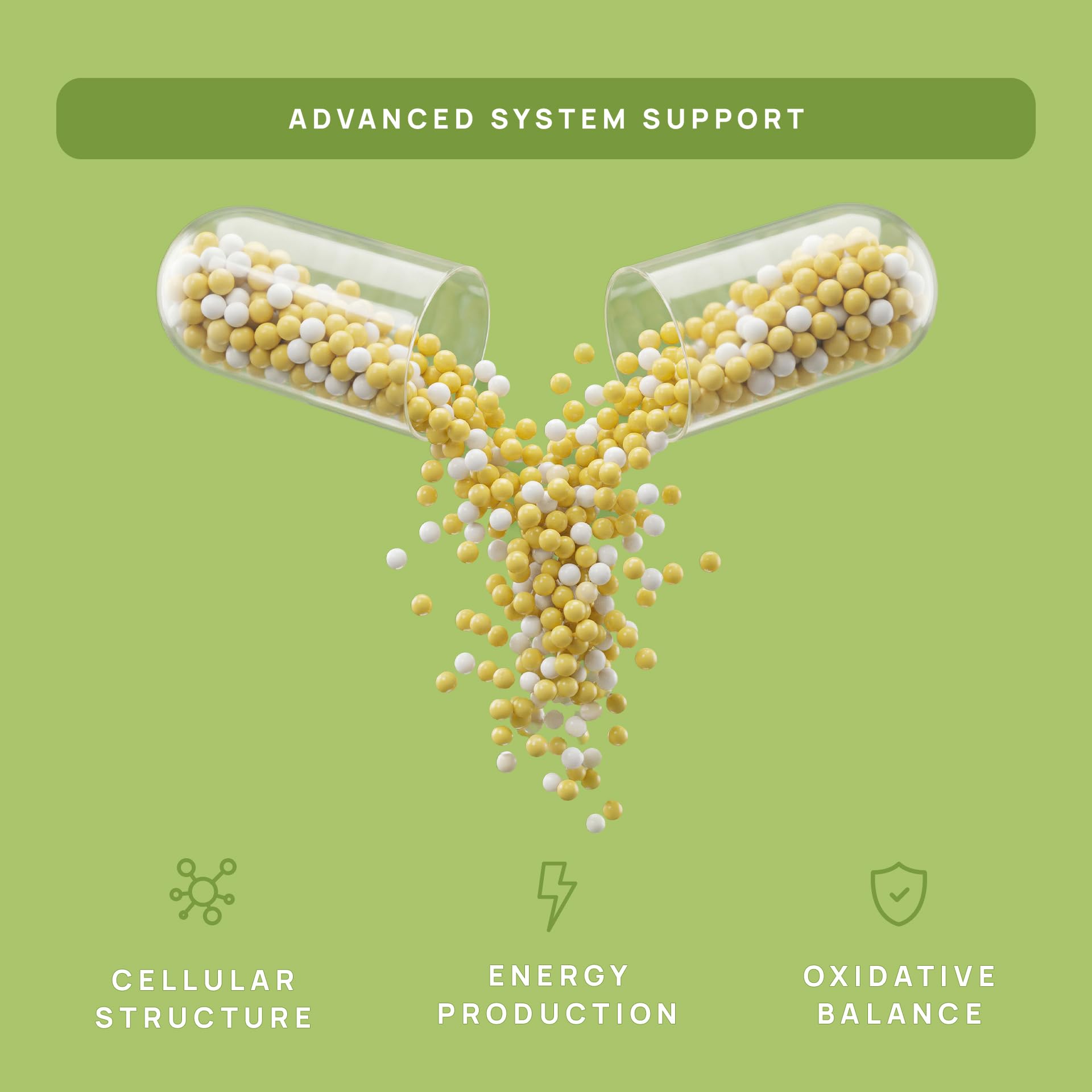 Stay-Well Naturals C15:0 Pentadecanoic Acid 100g supplement ingredients list